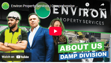 environ property services damp surveying company