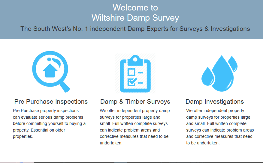 wiltshire damp survey