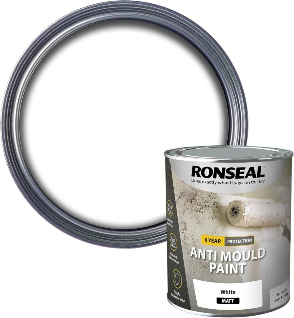 Ronseal Anti Mould Paint – White (750ml, Matt Finish)